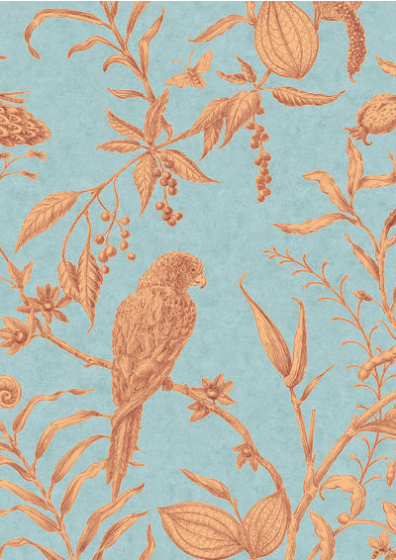 Squawk in Jaffa by Lewis & Wood | Kartar & Seibo